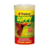 Guppy 100ML 20GR Lepistes Için Pul Yem