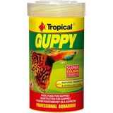Guppy 100ML 20GR Lepistes Için Pul Yem