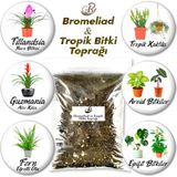 Gurme Bitki GB Bromeliad ve Tropik Bitki Toprağı 2 L - En Yüksek Kalite Özel Karışım Orkide Alev Kılıcı Guzmanya Hava Bitkisi Torfu - 2 Lt