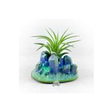 Gurme Bitki Tillandsia Ionantha Pup (S) Mineral Stand - Yavru Hava Bitkisi Aranjman Air Plant