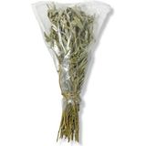 Guruyemiş Box Adaçayı Tek Demet Sage Bitki Çayı 50 - 60 gr - 1