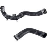 Gutsy Renault Dacıa Turbo Hortumu Uzun Taraf Clıo Iv-Captru-Logan Iı-Sandero Iı 0.9 Tce Plastık Boru Harıc 144602500R