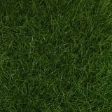Güven Collection Green 50 mm Hav Yüksekliğinde Çim Halı - 400 cm En