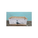 Güvercin Taşıma Kafesi Katlanır Kuş ve Tavuk Taşıma Kafesi (70×34×27 cm) Katlanır Taşıma Kafesi