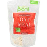 Güzel Ada Gıda Glutensiz Yulaf Ezmesi 1474 gr - 1,4 kg