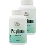 Güzel Ada Gıda Psyllium Karnıyarık Otu Tozu 2x250 Gr - 500 gr