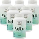Güzel Ada Gıda Psyllium Karnıyarık Otu Tozu 6x250 Gr - 1,2 kg