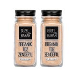 Güzel Ada Organik Toz Zencefil 2x40 Gr