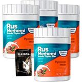 Guzzy Playboy Turquoise 4'lü Birden Ceviz & Ceviz Sütü Rus Merhemi 50 ml Tüy Dökücü Krem + 1 Armağan Jel - 1li