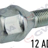 Gva 8810115 Renault 9-11 Çinko Paket 12 Febi 02062 Bijon Civatası