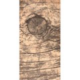 Gvn Art Ahşap Yapışkanlı Sticker 15x30 cm G466 Rustik Huş Ağacı Maket