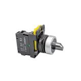 Gwest A5-20XS-F 2NO Kalıcı ve Kayıcı Mandal Buton