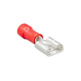 Gwest GFD-1638 0.50-1.50 mm2 200 Adet Dişi Faston Tip İzoleli Kablo Ucu