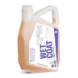 Gyeon Q2M 4000 ml Wet Coat Nano Boya Koruma ve Sprey Hızlı Cila