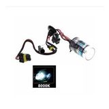 H1 Xenon 8000K Ampul