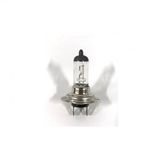 H7 12v 55w Ampul