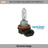 H9 Halogen Far Ve Sis Ampülü 12V 65W