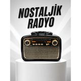 Hace Bazaar Müzik Kutusu Bluetooth Bağlantılı El Fenerli Nostaljik Tasarım Radyo - 1