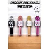 Hace Bazaar Şarjlı ve Uzun Pil Ömürlü Karaoke Mikrofon USB Bellek Destekli Profesyonel Ses - HCB1235171-25 - Çok Renkli