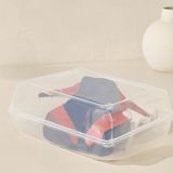 Hace Bazaar Şeffaf Plastik Ayakkabı Kutusu 17X30X10.5 cm -Hcb - Renkli