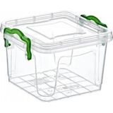 Hace Bazaar Tiny Box Kare Saklama Kutusu 0.3 Litre - Renkli - standart