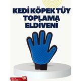 Hace Bazaar Yumuşak Silikonlu Kedi ve Köpek Tüy Toplama Eldiveni – Masaj Etkili Tüy Dökülme Önleyici - 1