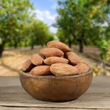 Hacı Mümtaz Çiğ Badem 500 gr + Çiğ Fındık 500 gr - 1 kg