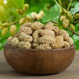 Hacı Mümtaz Dut Kurusu 1 kg