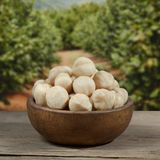 Hacı Mümtaz Fındık Içi Kavrulmuş - 500 gr