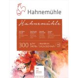 Hahnemühle 10 628 163 Hahnemühle Rough Suluboya Blok Kağıdı, 36X48 Cm, 300 GSM
