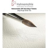 Hahnemühle 200 g Rough 50x65 10'lu 200 Sulu Boya Tabaka