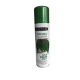 Hair Color Spray 150 Ml Ever Green Saç Spreyi Yeşil Renkli Saç Spreyi