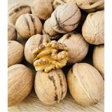 Hakanbey Kuruyemiş Kurukahve Kabuklu Ithal Ceviz - 1 kg