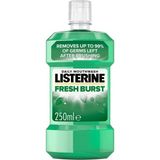 Hakay Listerine Fresh Burst Ağız Gargarası 250 ml - 01