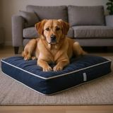 Hakay Lüks Dayanıklı Şönil Kumaş Visco Dolgulu Çift Taraflı ve Fermuarlı Yıkanabilir Köpek Yatağı(Fşönilmavi) (Medium)