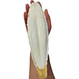 Hakay Xl Kalamar Kemiği - Iri Boy (15-20 cm Aralığında)