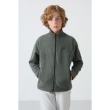 Haki Kalın Yumuşak Dokulu Standart Fit Nakışlı Polar Erkek Çocuk Sweatshirt - 11223