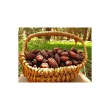 Hakikat Organik Medjoul Kudüs Hurma Duble Mejdul Glikozsuz Doğal Lüks Etli 1 kg medium