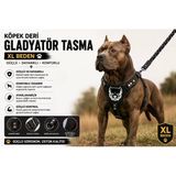 Hakiki Deri Gladyatör Köpek Göğüs Tasması Xl Beden Ayarlanabilir - Siyah