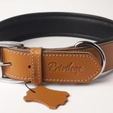 Hakiki Deri Köpek Boyun Tasması Xs Camel 2X29-37 cm