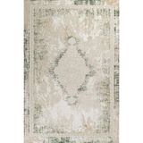 Hali.Net Bej Yeşil Krem Vintage Eskitme Efektli Modern Madalyon Kaymaz Taban Salon Halısı Dijital Baskı - 300 x 400 cm