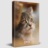 Halk Kitabevi Halk Kitabevi Minik Kedi Süresiz Planlama Defteri