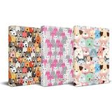 Halk Kitabevi Kedi Temalı Planlama Defteri Seti - 3 Defter Set2