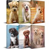 Halk Kitabevi Köpek Temalı Süresiz Planlama Defter Seti 13,5 x 21 cm 6'lı