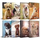 Halk Kitabevi Köpek Temalı Süresiz Planlama Defter Seti 13,5 x 21 cm 8'li