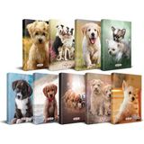 Halk Kitabevi Köpek Temalı Süresiz Planlama Defter Seti 13,5 x 21 cm 9'lu