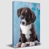 Halk Kitabevi Minik Arkadaş - Planlama Defteri 13,5X19,5CM Çok Renkli