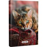 Halk Kitabevi Şaşkın Planlama Defteri 13.5 x 19.5 cm