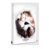 Halk Kitabevi Uykucu Kedi Planlama Defteri
