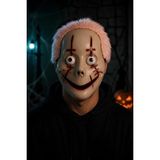 Halloween Cadılar Bayramı Halloween Pembe Saçlı Palyaço Maske
